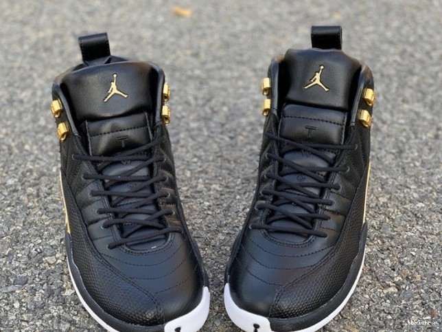 Cheap TBkick Jordan Air 'Reptile' 12 Metallic AO6068-007 Gold-White Black Retro 0731